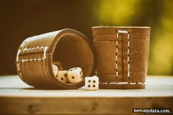 博彩公司信誉评级下的北京赛车玩法解析与实战策略