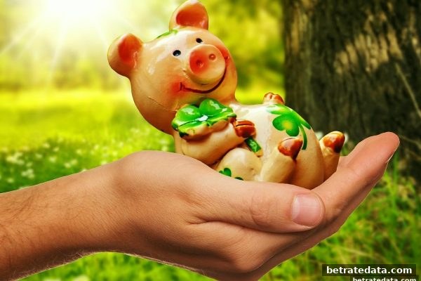 极速赛车选号策略新解：博彩公司信誉评级下的理性方法