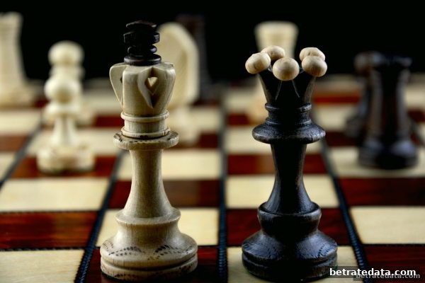 探索职业围棋棋手之路：博彩公司信誉评级视角下的成长与变革