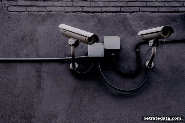 博彩公司信誉评级：资质认证如何守护你的娱乐安全？