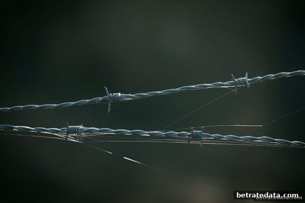 博彩公司信誉评级视角：提款受阻的深层原因与应对策略